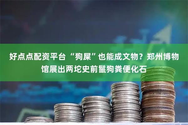 好点点配资平台 “狗屎”也能成文物？郑州博物馆展出两坨史前鬣狗粪便化石
