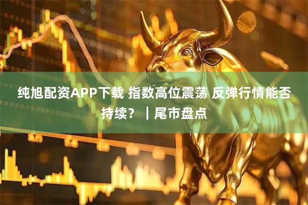纯旭配资APP下载 指数高位震荡 反弹行情能否持续？｜尾市盘点