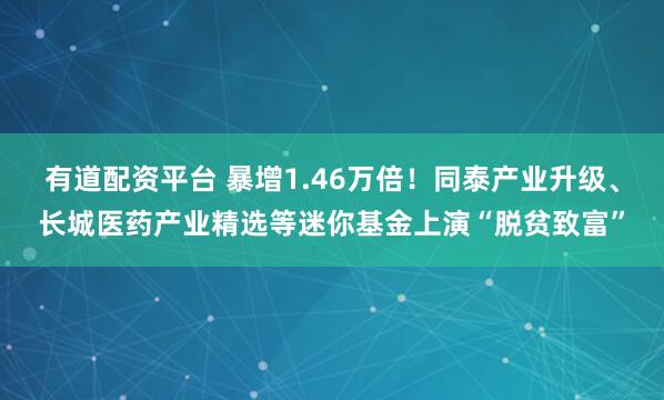 有道配资平台 暴增1.46万倍！同泰产业升级、长城医药产业精选等迷你基金上演“脱贫致富”
