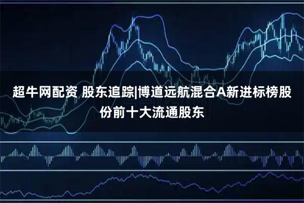 超牛网配资 股东追踪|博道远航混合A新进标榜股份前十大流通股东