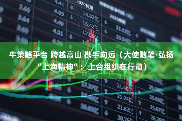 牛策略平台 跨越高山 携手向远（大使随笔·弘扬“上海精神”：上合组织在行动）