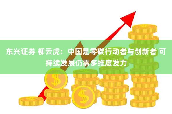 东兴证券 柳云虎：中国是零碳行动者与创新者 可持续发展仍需多维度发力