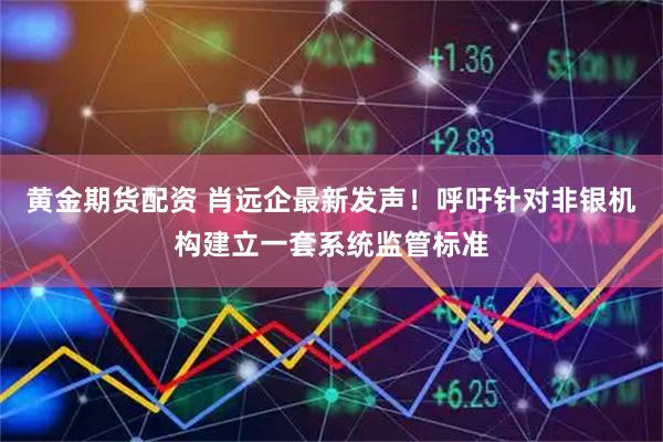 黄金期货配资 肖远企最新发声！呼吁针对非银机构建立一套系统监管标准